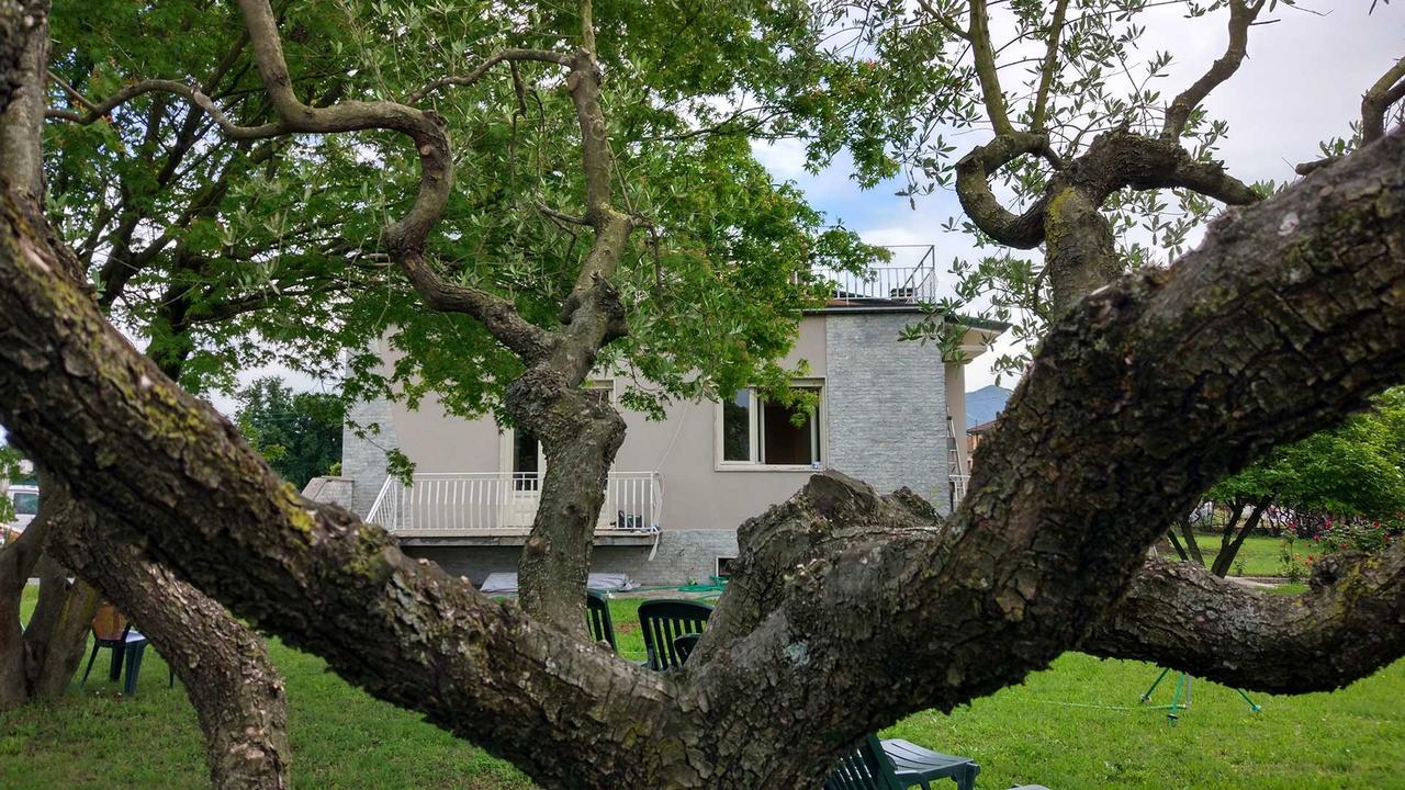 La Locanda Francigena Bed & Breakfast ลุคคา ภายนอก รูปภาพ